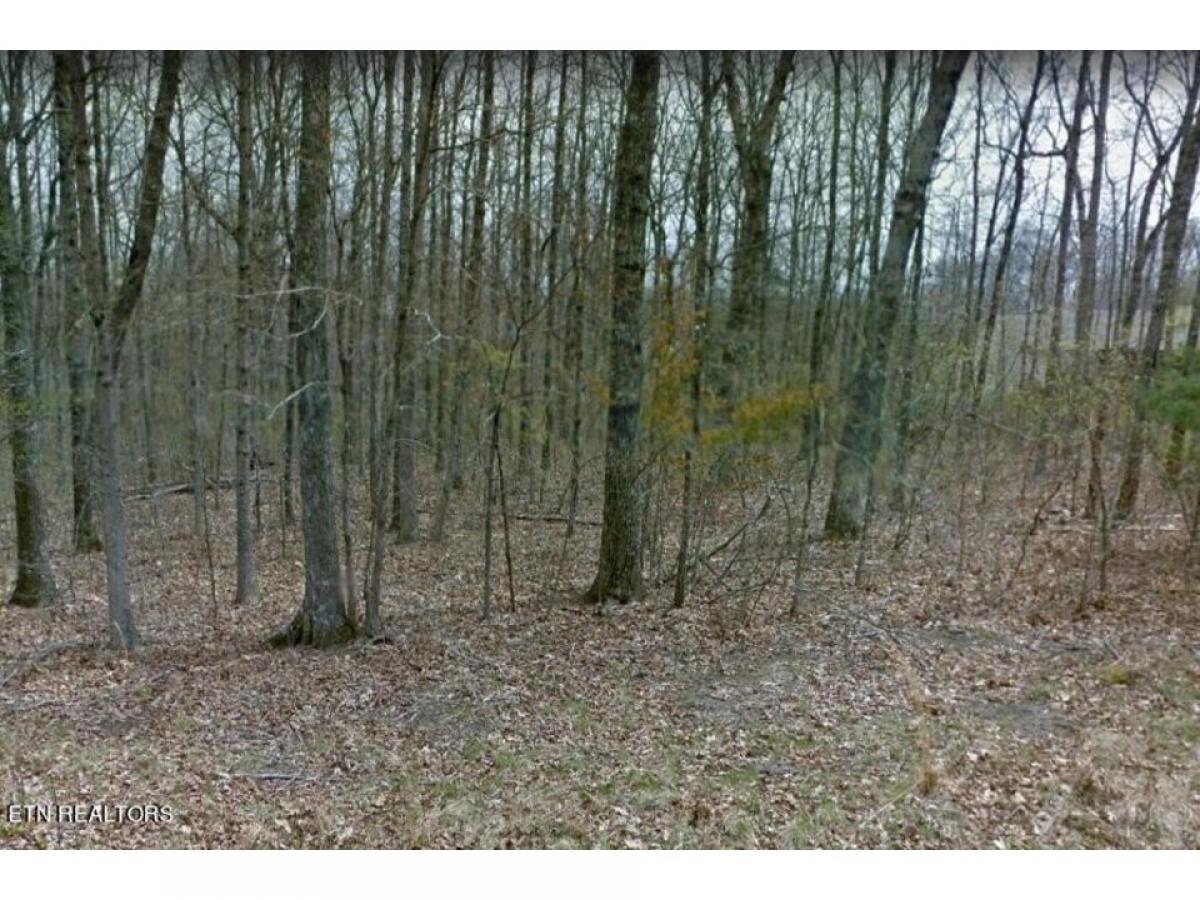 Picture of Residential Land For Sale in Crossville, Tennessee, United States