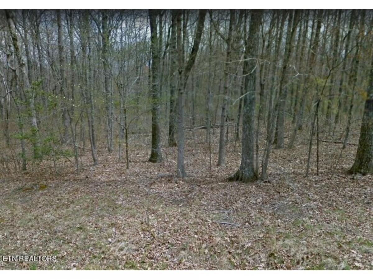 Picture of Residential Land For Sale in Crossville, Tennessee, United States