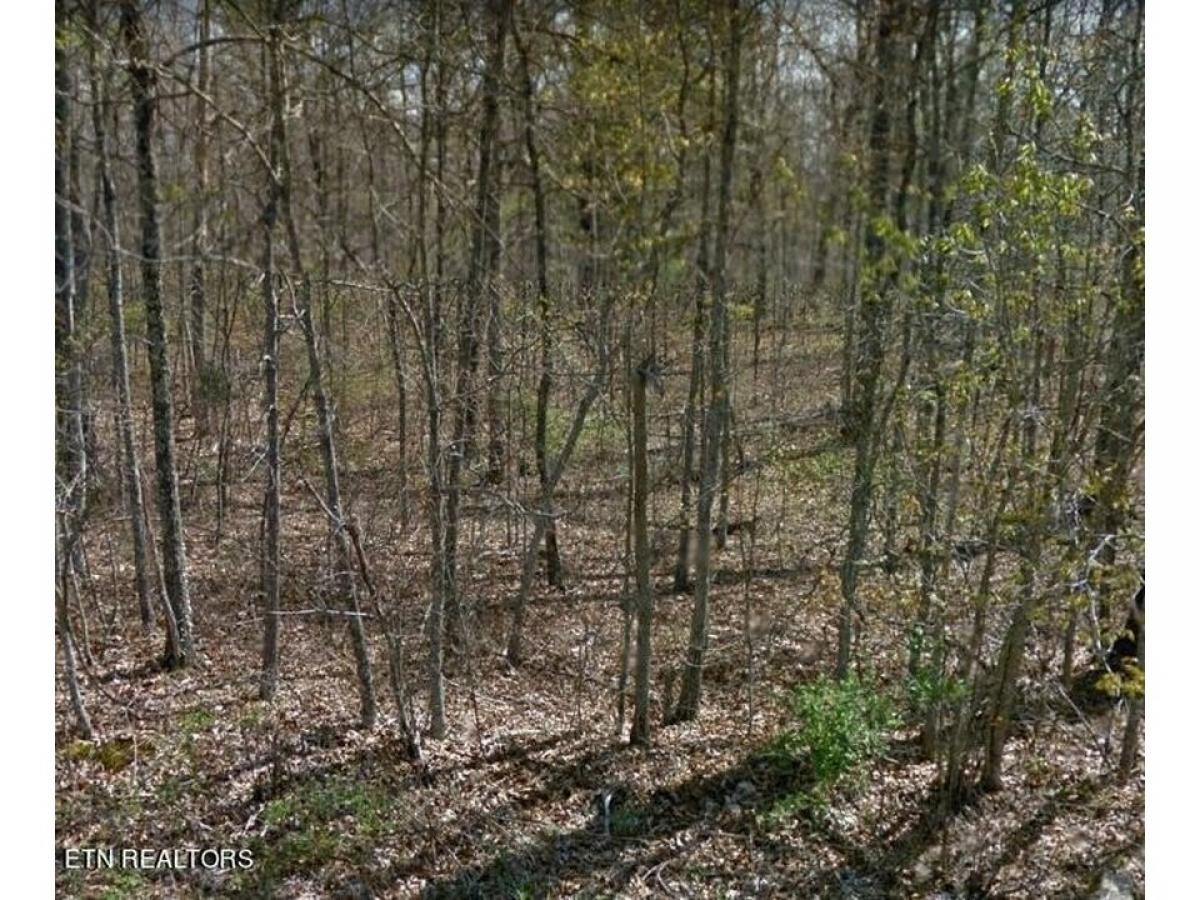 Picture of Residential Land For Sale in Crossville, Tennessee, United States