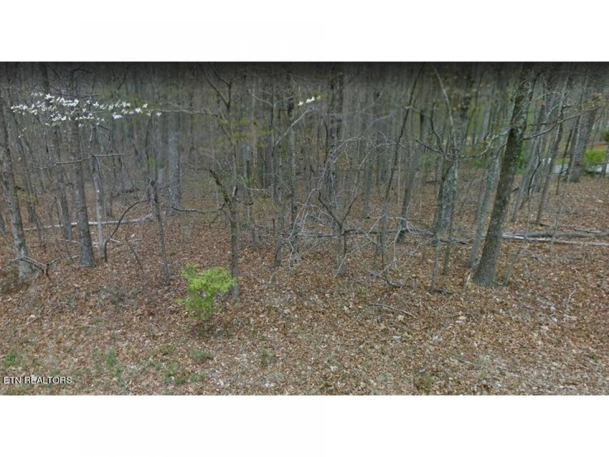 Picture of Residential Land For Sale in Crossville, Tennessee, United States