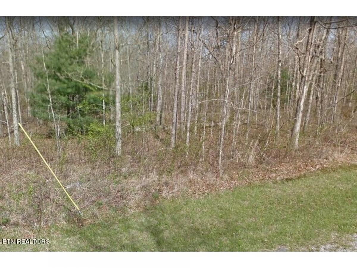 Picture of Residential Land For Sale in Crossville, Tennessee, United States