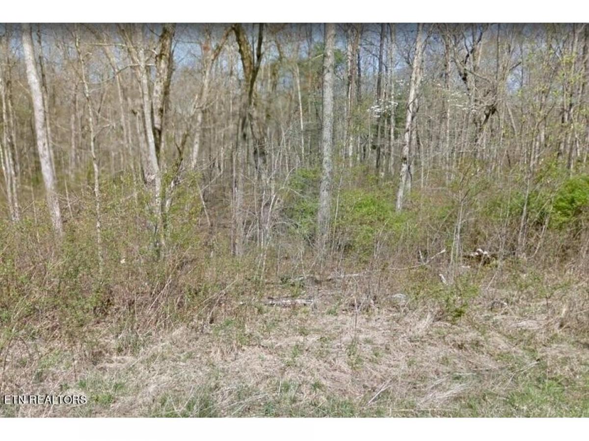 Picture of Residential Land For Sale in Crossville, Tennessee, United States