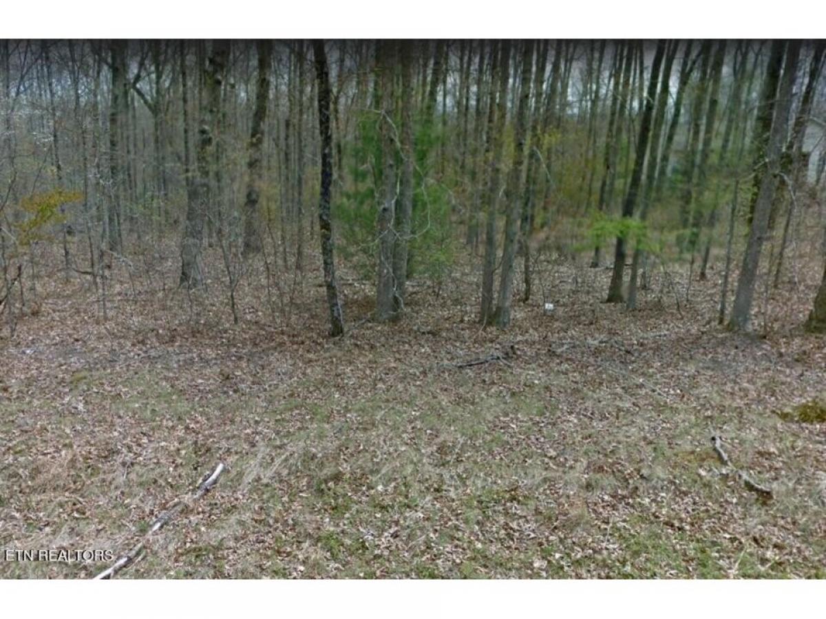 Picture of Residential Land For Sale in Crossville, Tennessee, United States