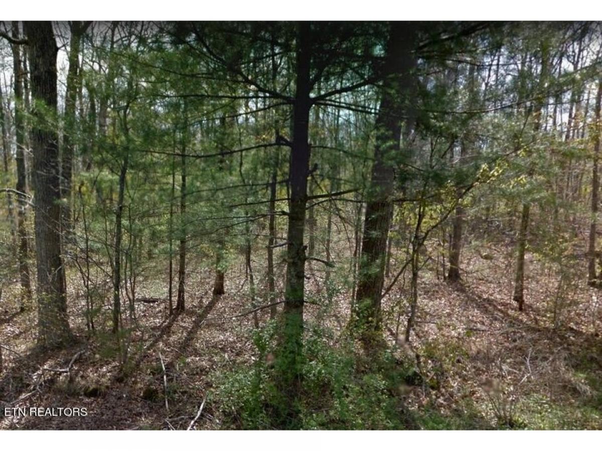 Picture of Residential Land For Sale in Crossville, Tennessee, United States