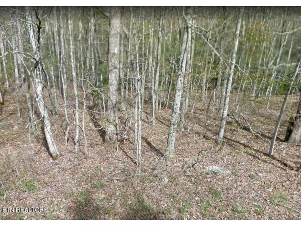 Picture of Residential Land For Sale in Crossville, Tennessee, United States