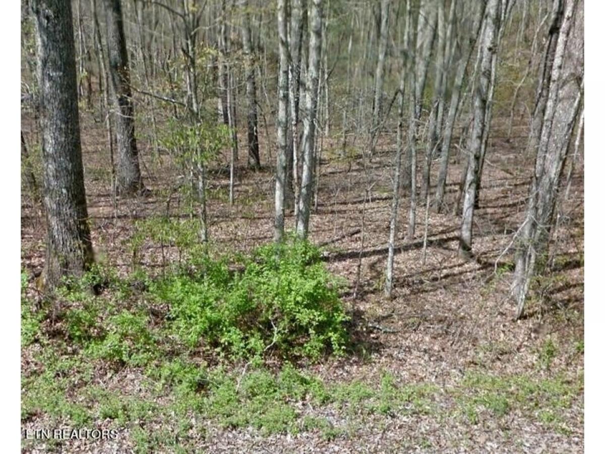 Picture of Residential Land For Sale in Crossville, Tennessee, United States