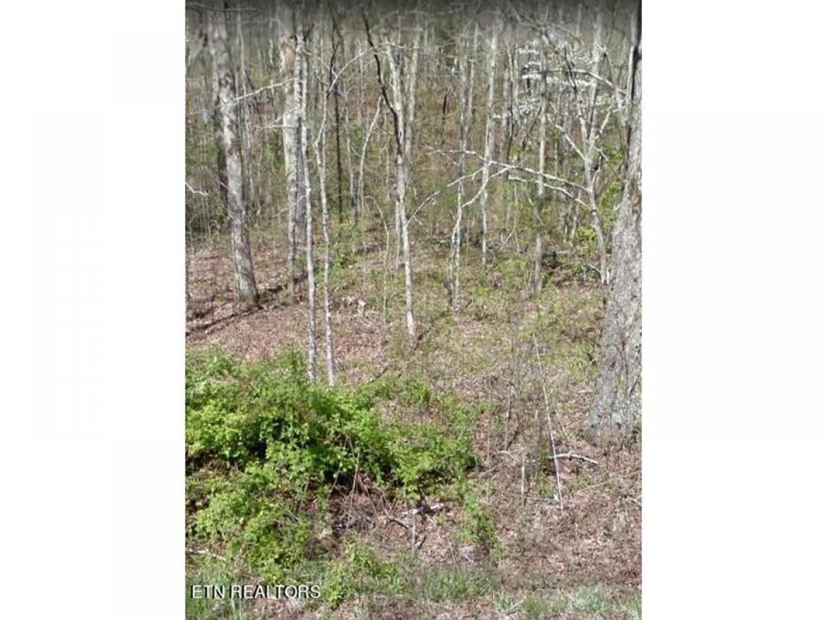 Picture of Residential Land For Sale in Crossville, Tennessee, United States