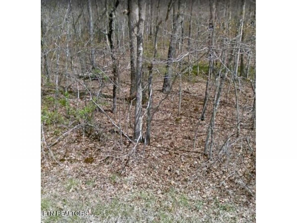 Picture of Residential Land For Sale in Crossville, Tennessee, United States