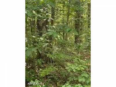 Residential Land For Sale in Crossville, Tennessee