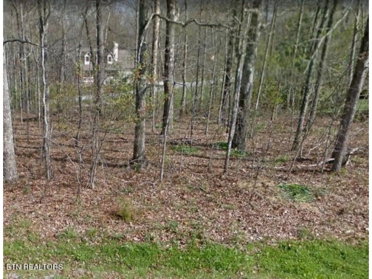 Picture of Residential Land For Sale in Crossville, Tennessee, United States