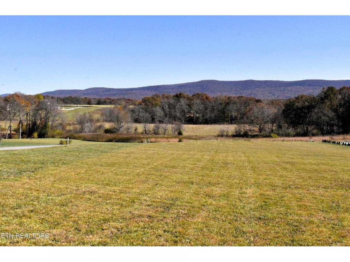 Picture of Residential Land For Sale in Crossville, Tennessee, United States