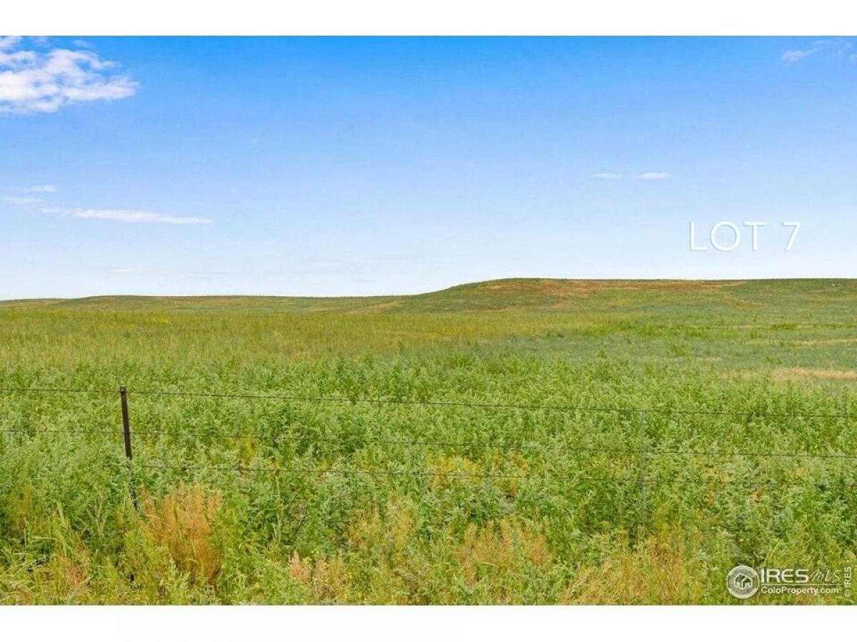 Picture of Residential Land For Sale in Carr, Colorado, United States