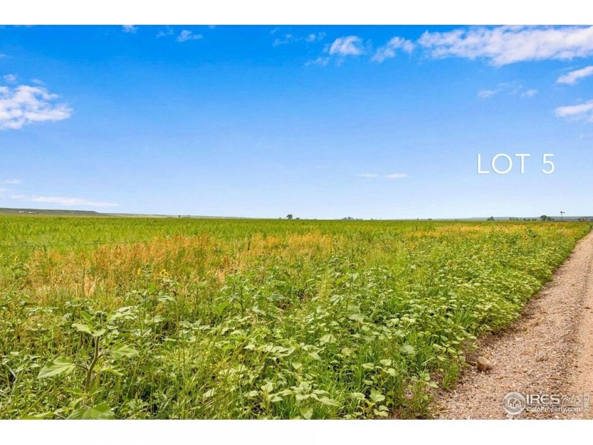 Picture of Residential Land For Sale in Carr, Colorado, United States