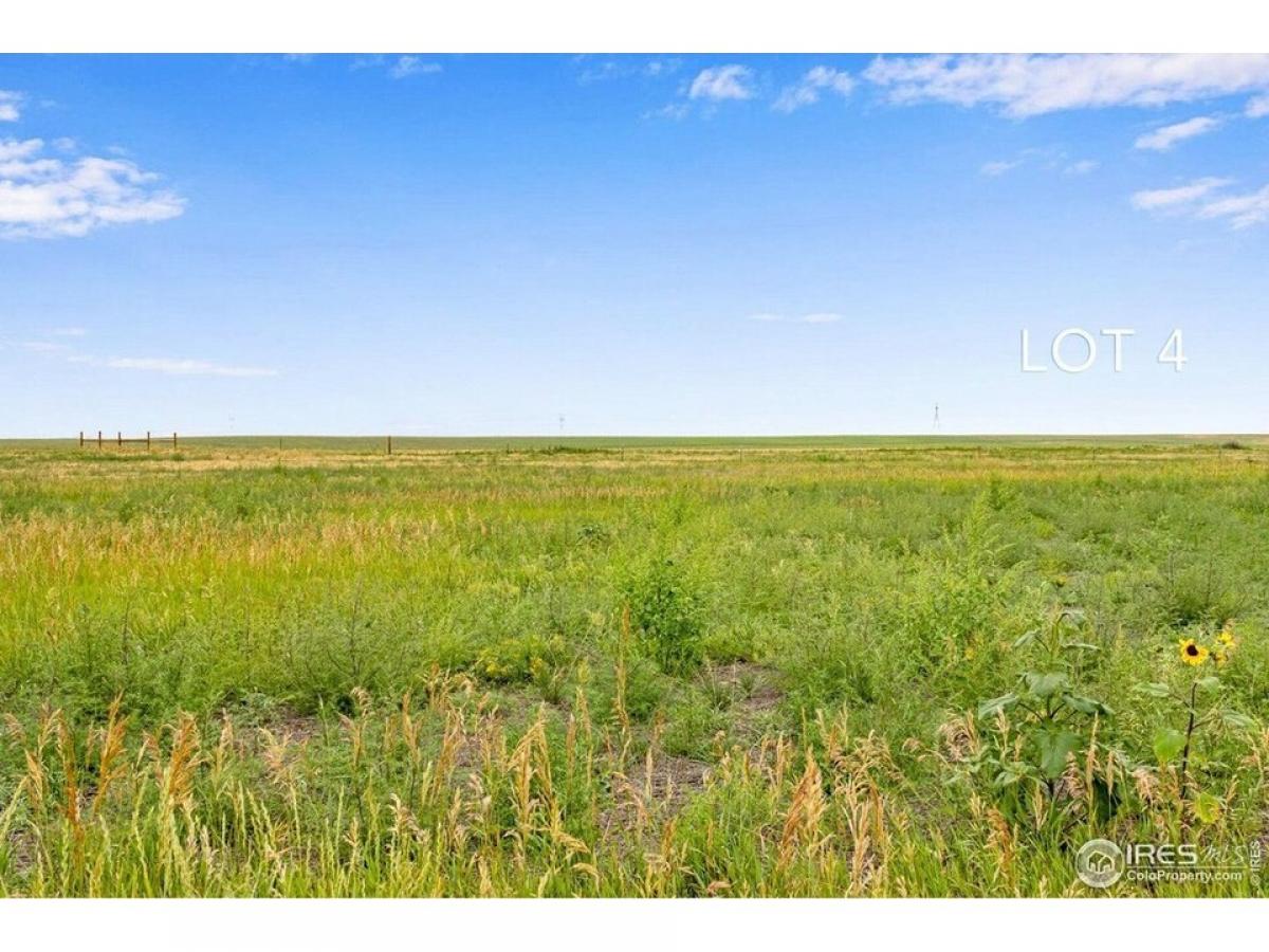 Picture of Residential Land For Sale in Carr, Colorado, United States