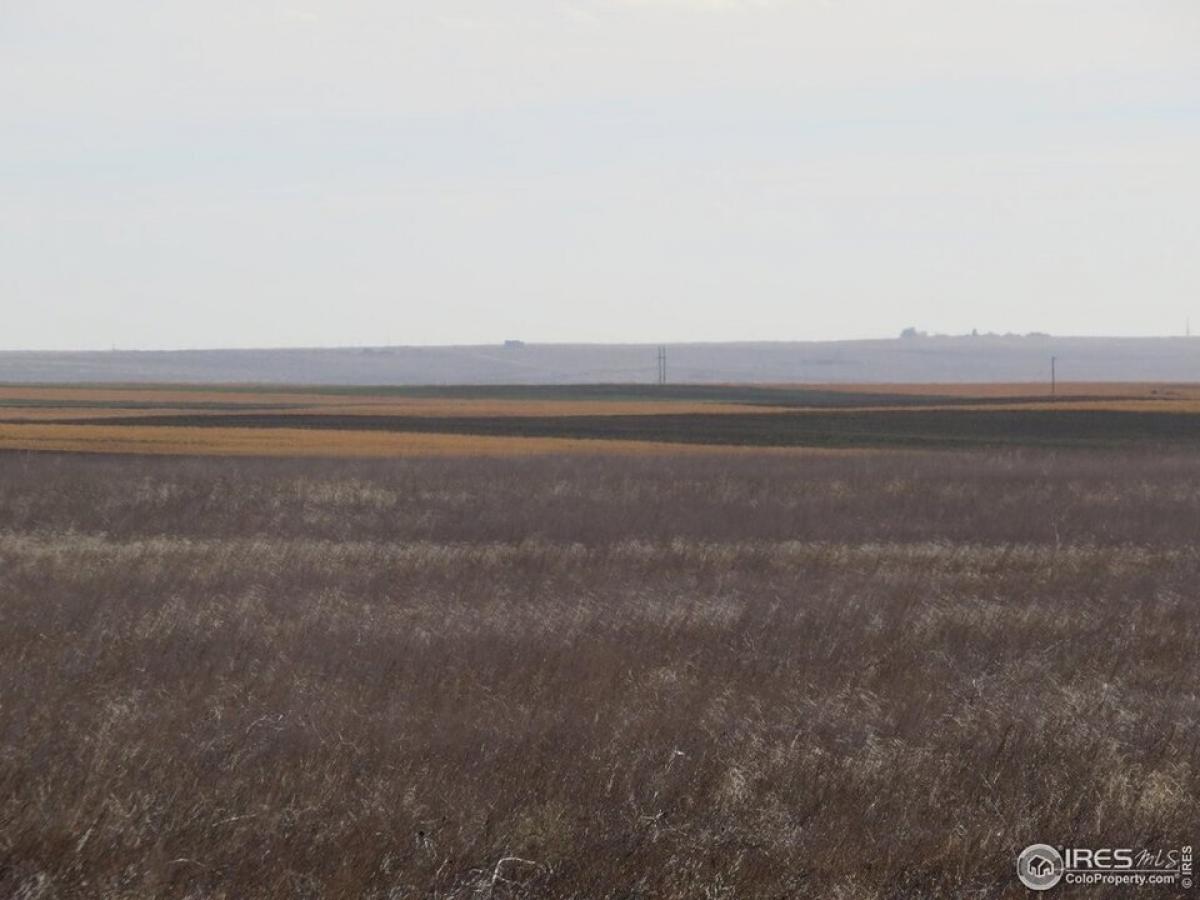 Picture of Residential Land For Sale in Briggsdale, Colorado, United States