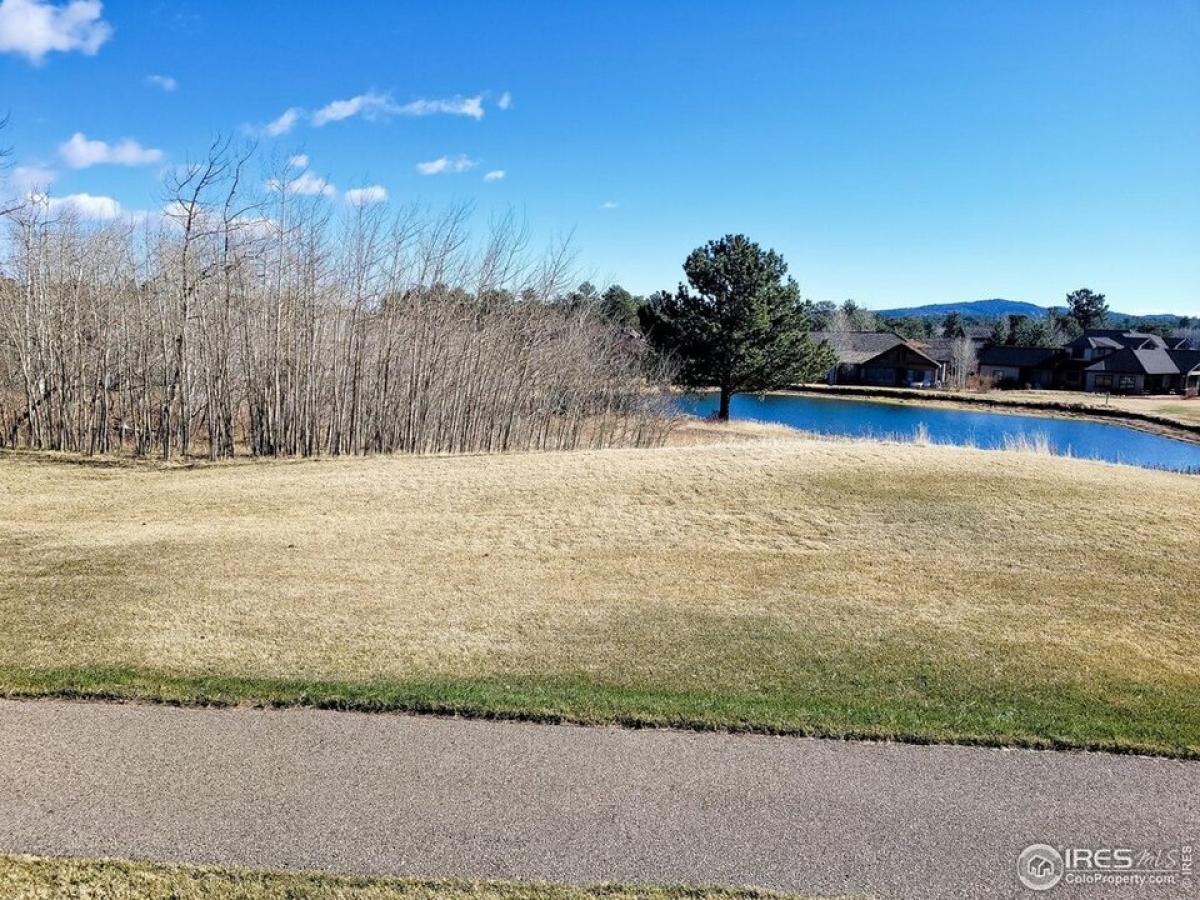 Picture of Residential Land For Sale in Red Feather Lakes, Colorado, United States