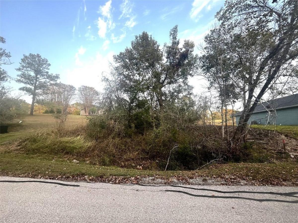 Picture of Residential Land For Sale in Coldspring, Texas, United States