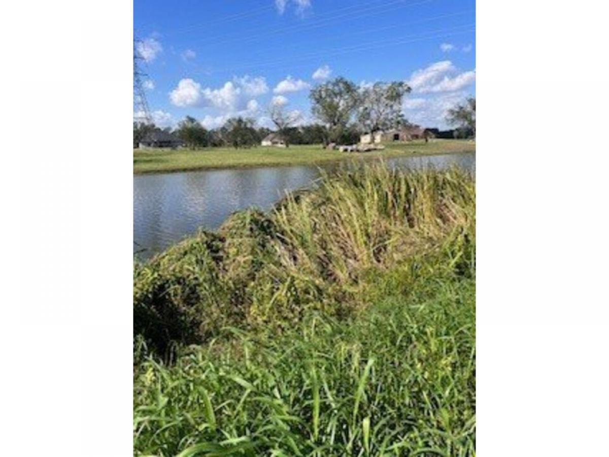 Picture of Residential Land For Sale in Angleton, Texas, United States