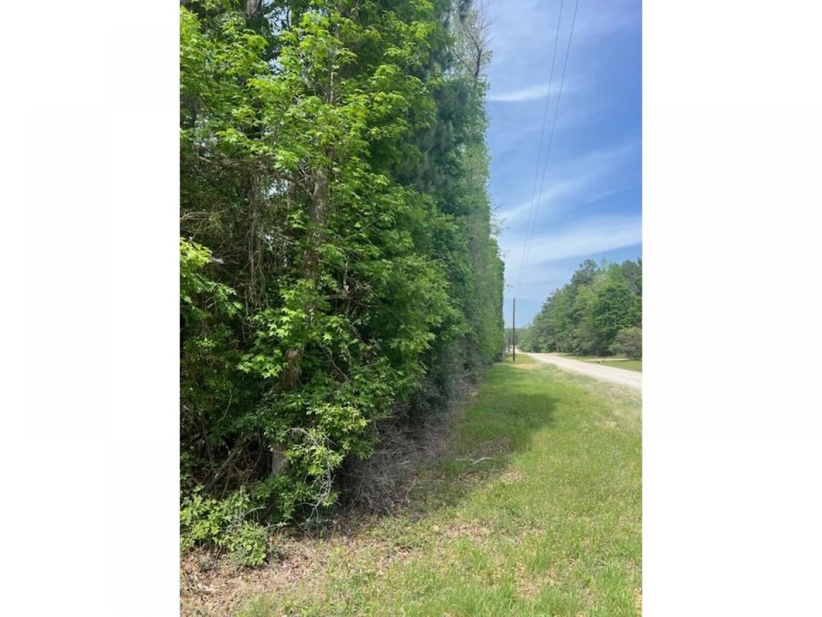 Picture of Residential Land For Sale in Livingston, Texas, United States