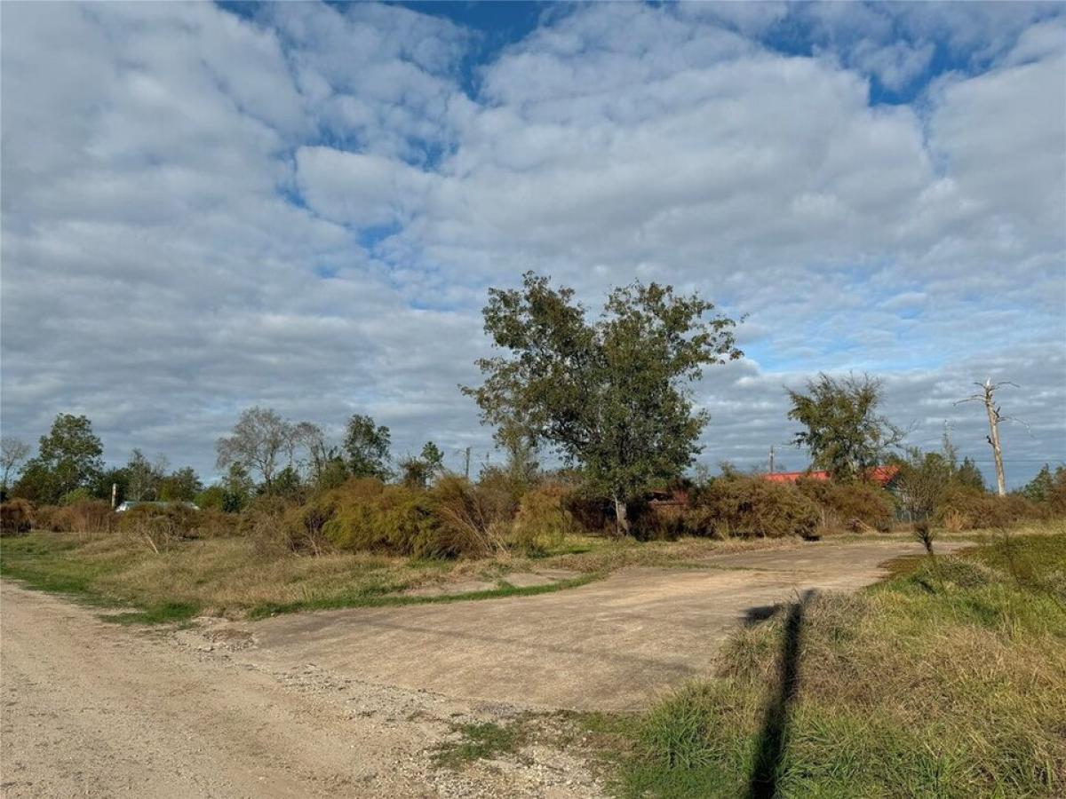 Picture of Residential Land For Sale in Onalaska, Texas, United States