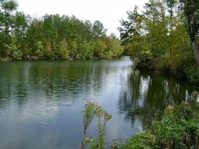 Residential Land For Sale in Cleveland, Texas