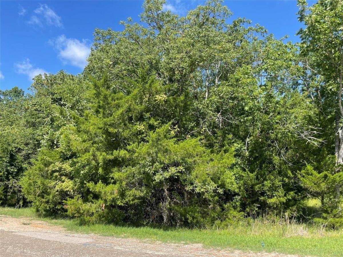 Picture of Residential Land For Sale in Coldspring, Texas, United States