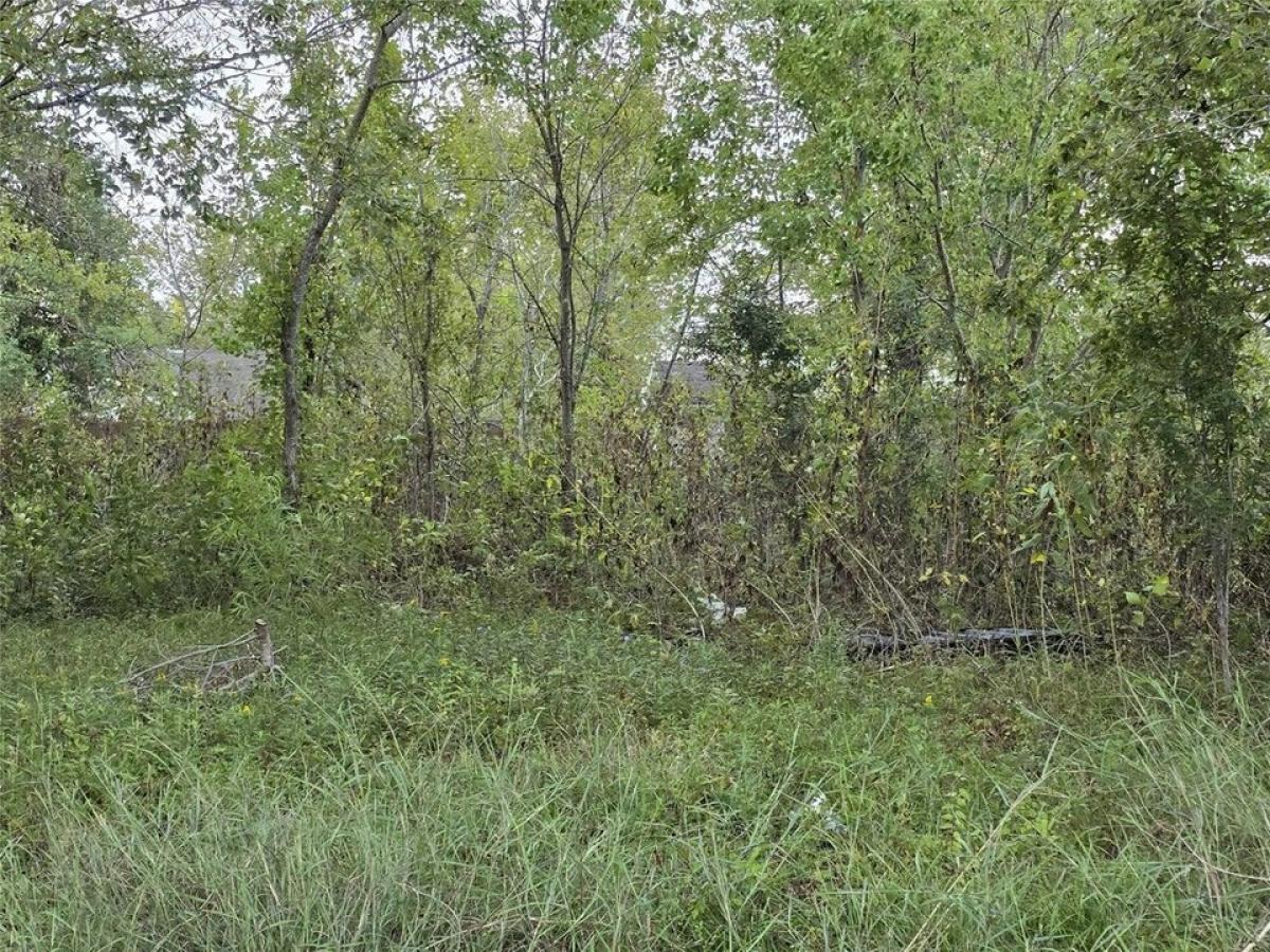 Picture of Residential Land For Sale in Houston, Texas, United States