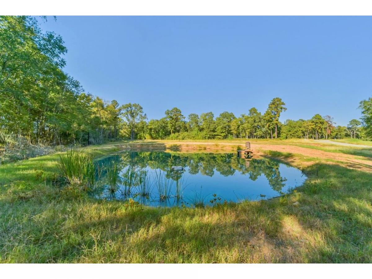 Picture of Residential Land For Sale in Montgomery, Texas, United States