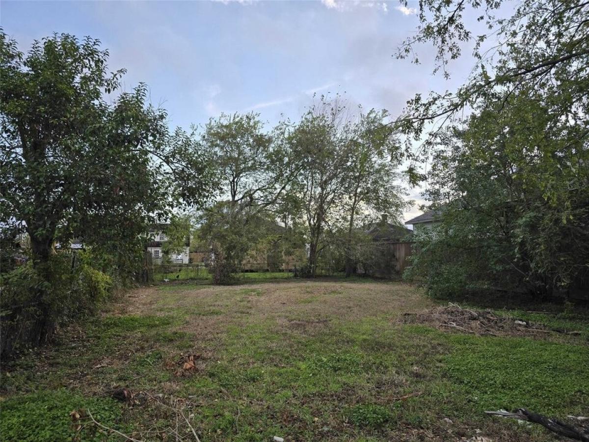 Picture of Residential Land For Sale in Houston, Texas, United States