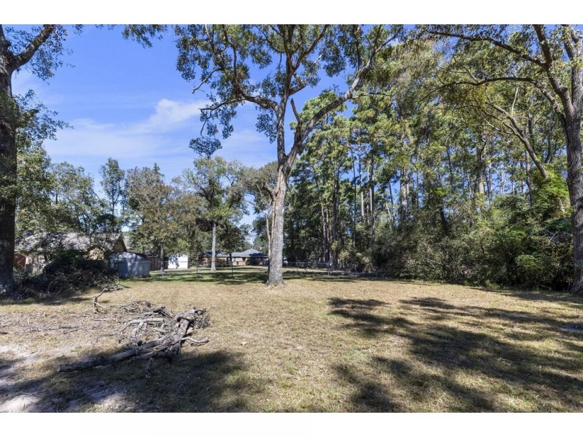 Picture of Residential Land For Sale in Conroe, Texas, United States