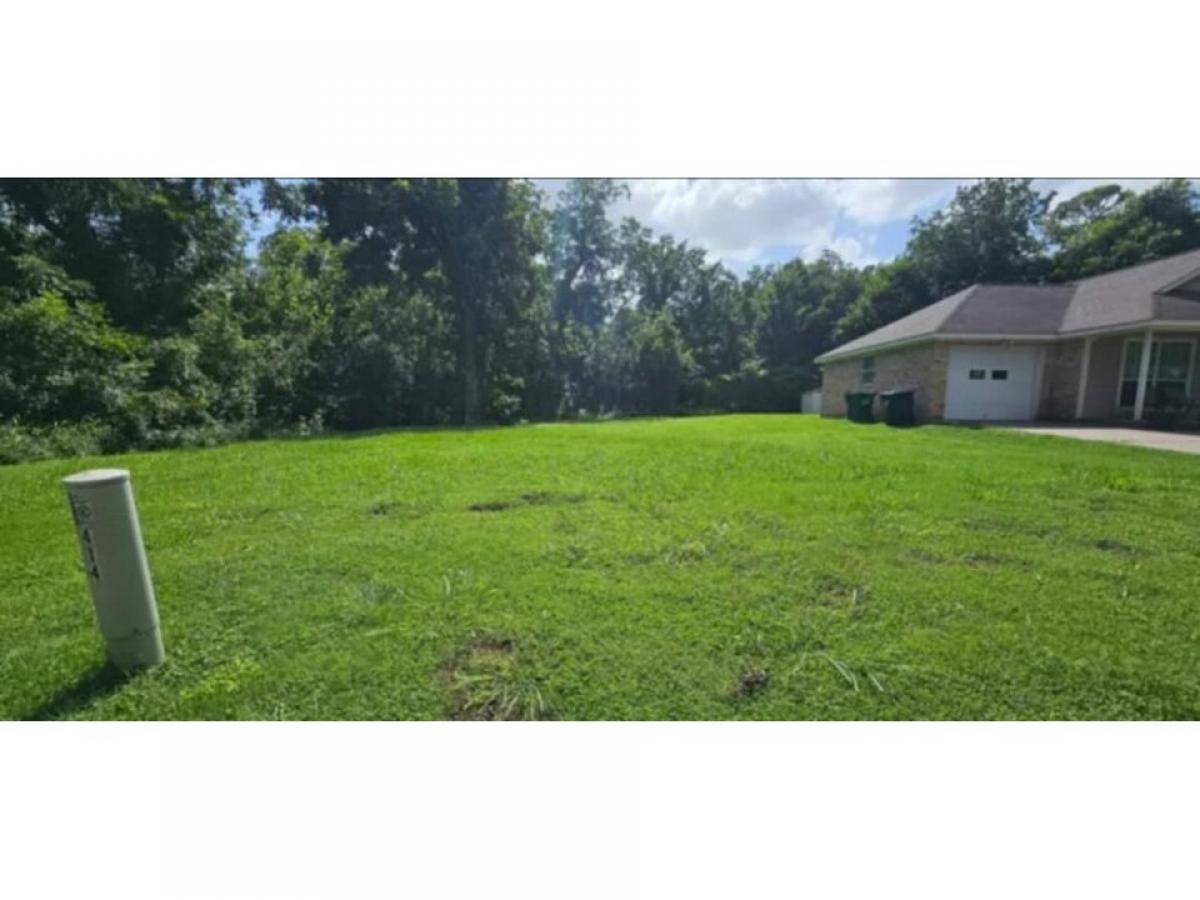 Picture of Residential Land For Sale in Brenham, Texas, United States