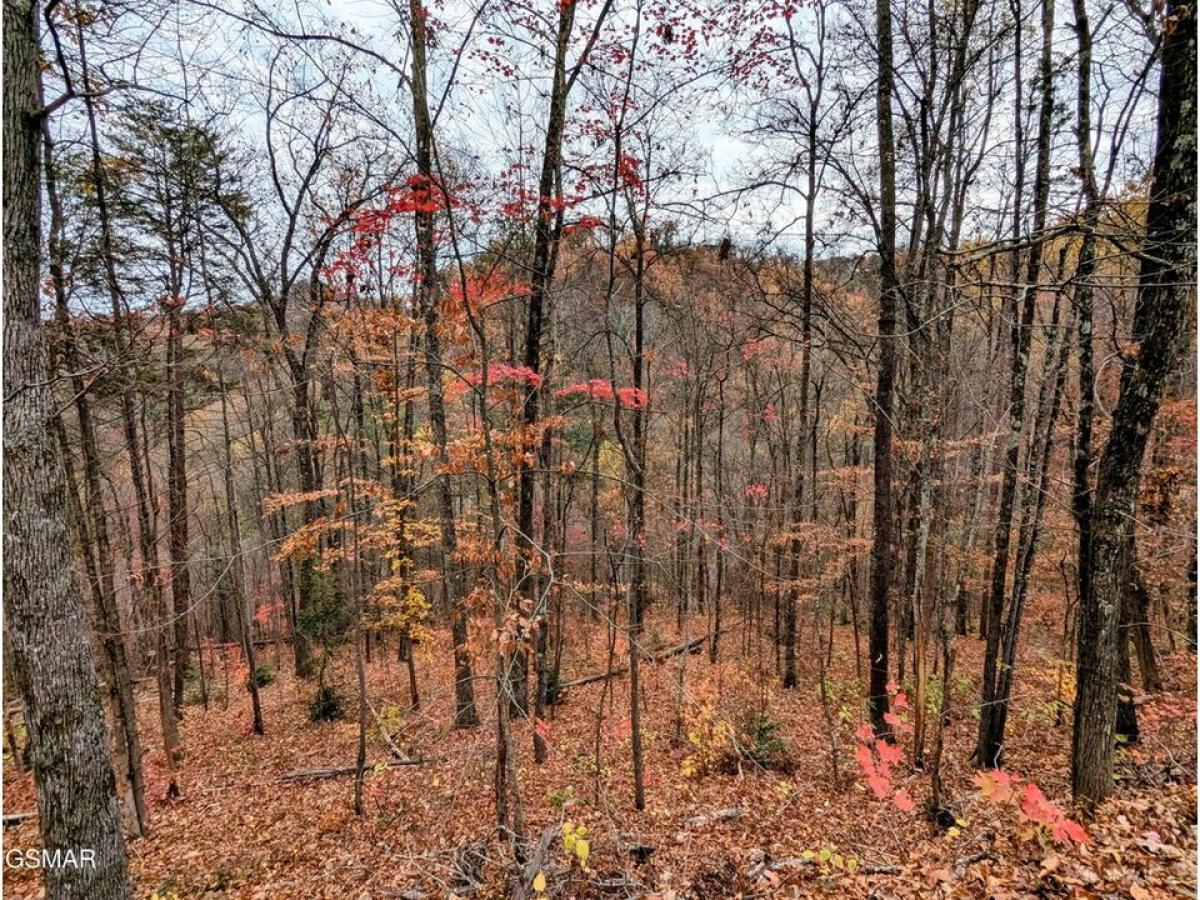 Picture of Residential Land For Sale in Sevierville, Tennessee, United States