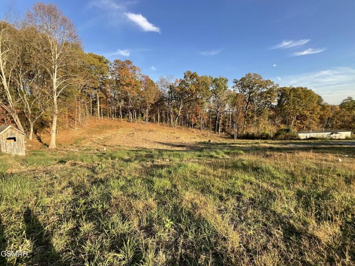 Picture of Residential Land For Sale in Kodak, Tennessee, United States