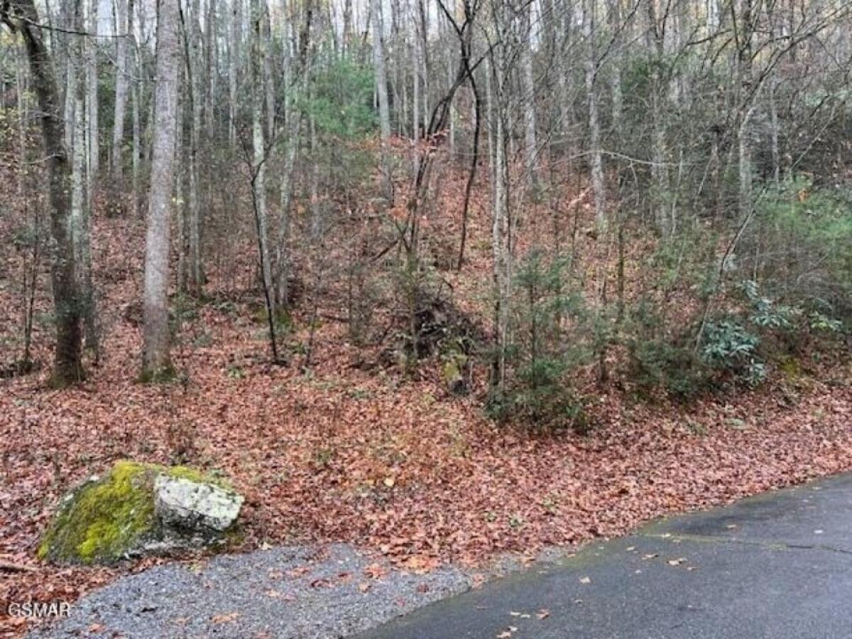 Picture of Residential Land For Sale in Townsend, Tennessee, United States