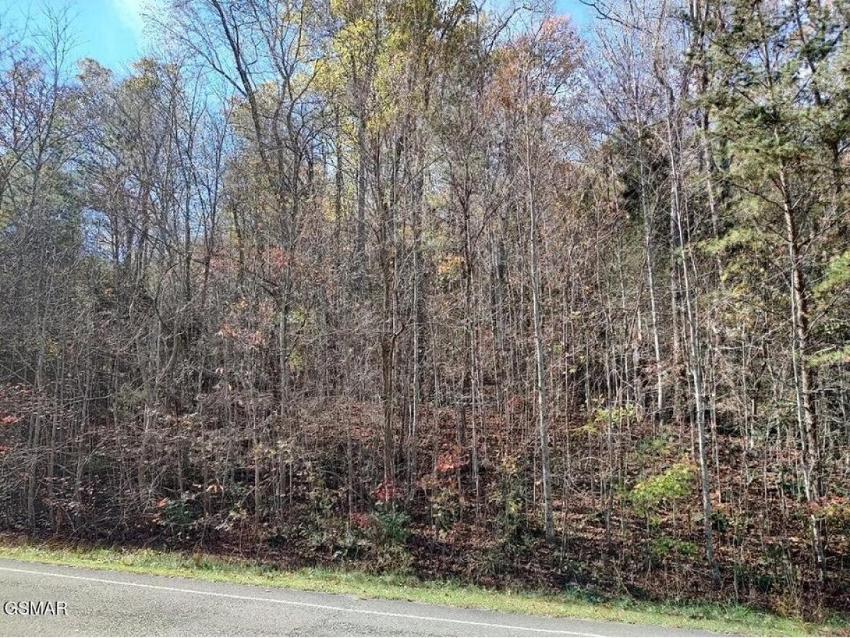 Picture of Residential Land For Sale in Newport, Tennessee, United States