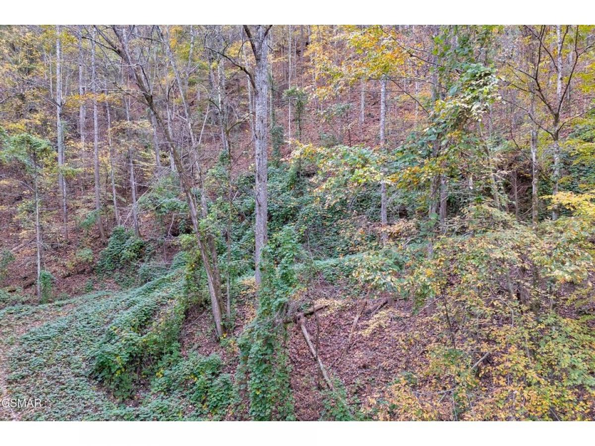 Picture of Residential Land For Sale in Sevierville, Tennessee, United States