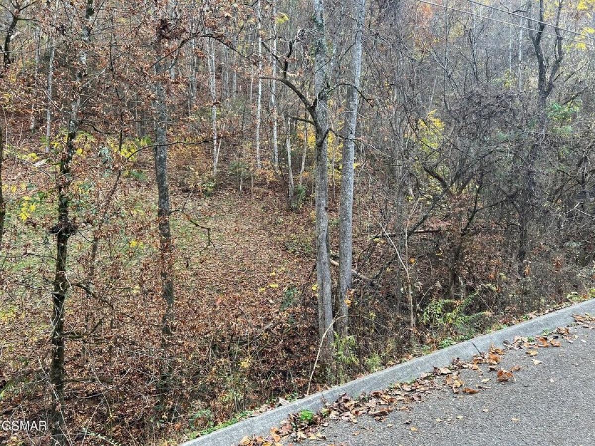 Picture of Residential Land For Sale in Sevierville, Tennessee, United States