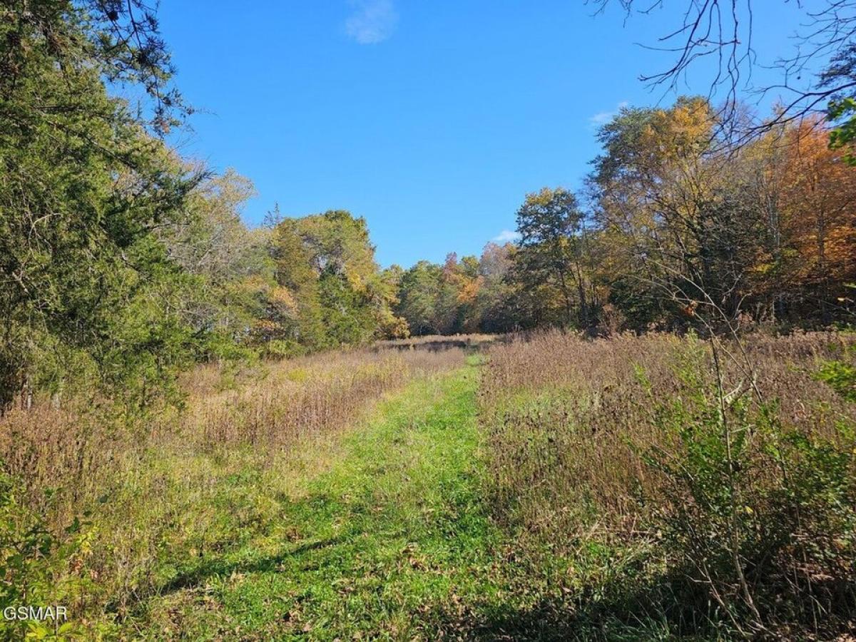 Picture of Residential Land For Sale in Parrottsville, Tennessee, United States