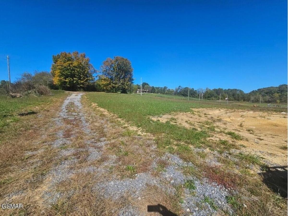 Picture of Residential Land For Sale in Newport, Tennessee, United States