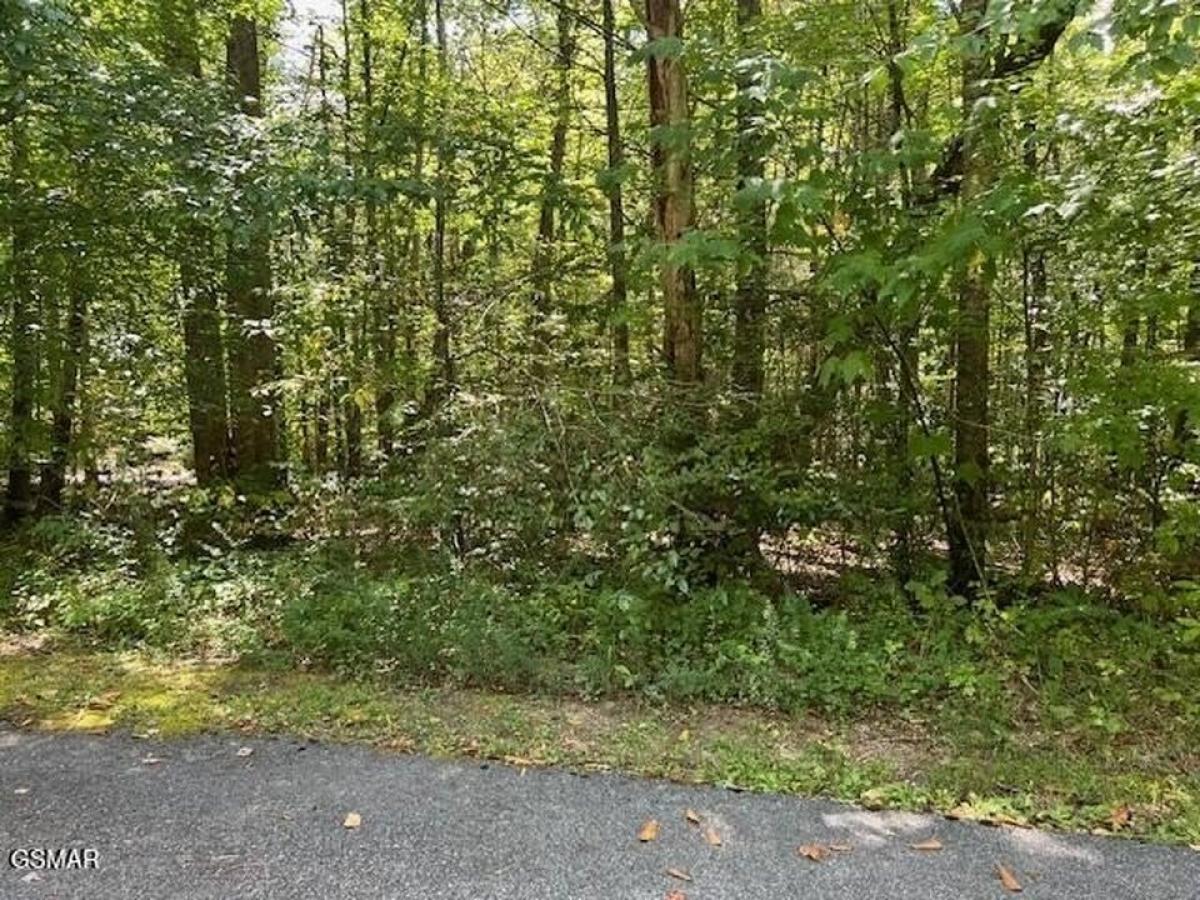 Picture of Residential Land For Sale in Cosby, Tennessee, United States