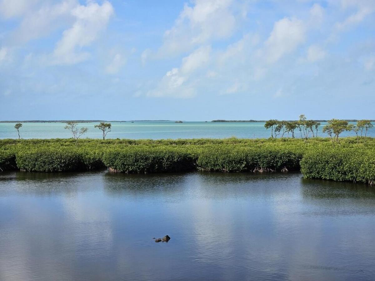 Picture of Home For Sale in Key Largo, Florida, United States