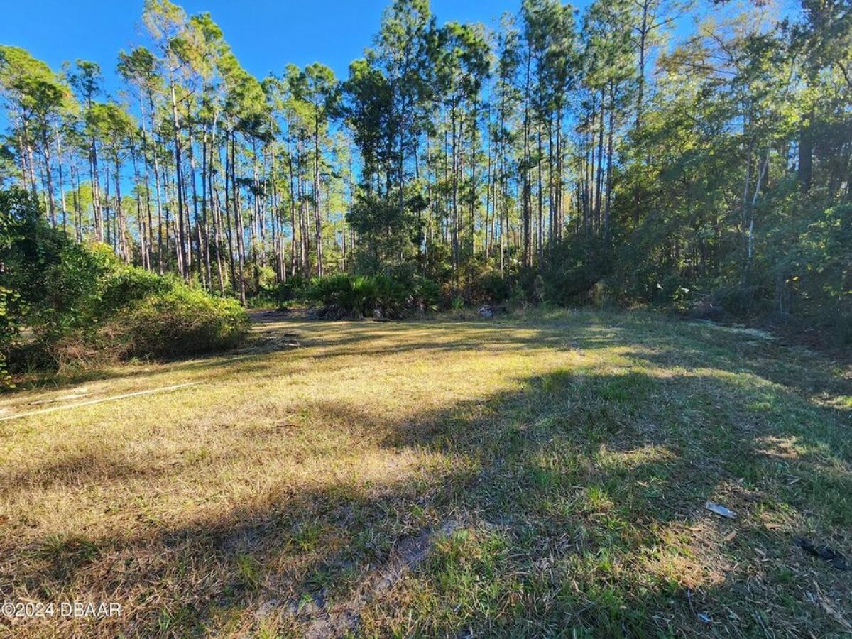 Picture of Residential Land For Sale in Bunnell, Florida, United States