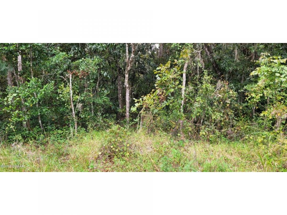 Picture of Residential Land For Sale in Deleon Springs, Florida, United States