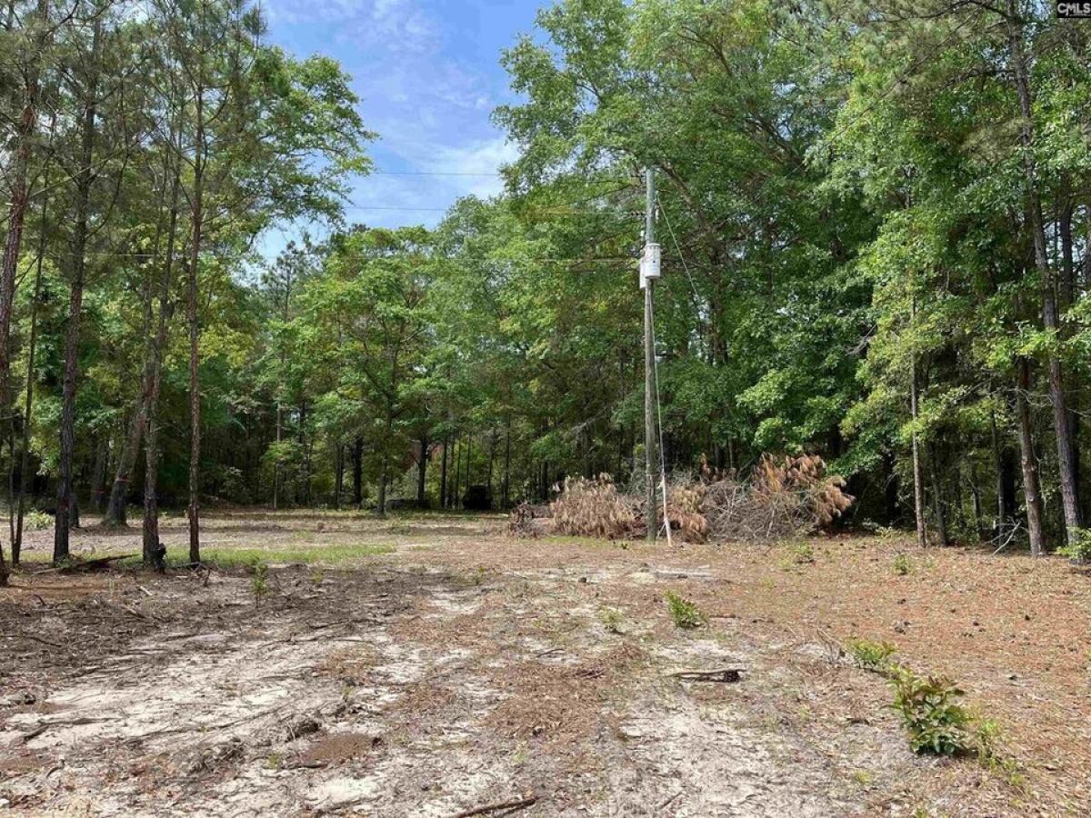 Picture of Residential Land For Sale in Bethune, South Carolina, United States