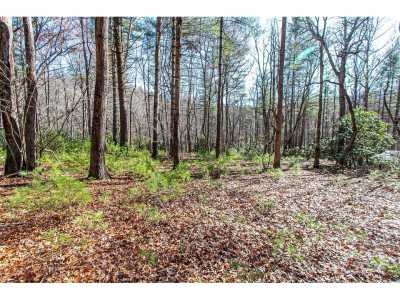 Residential Land For Sale in Pisgah Forest, North Carolina