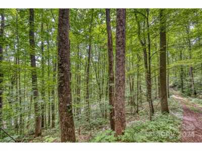 Residential Land For Sale in Mars Hill, North Carolina