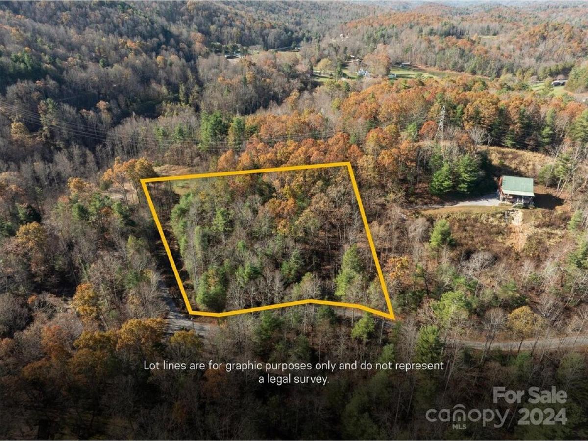 Picture of Residential Land For Sale in Saluda, North Carolina, United States