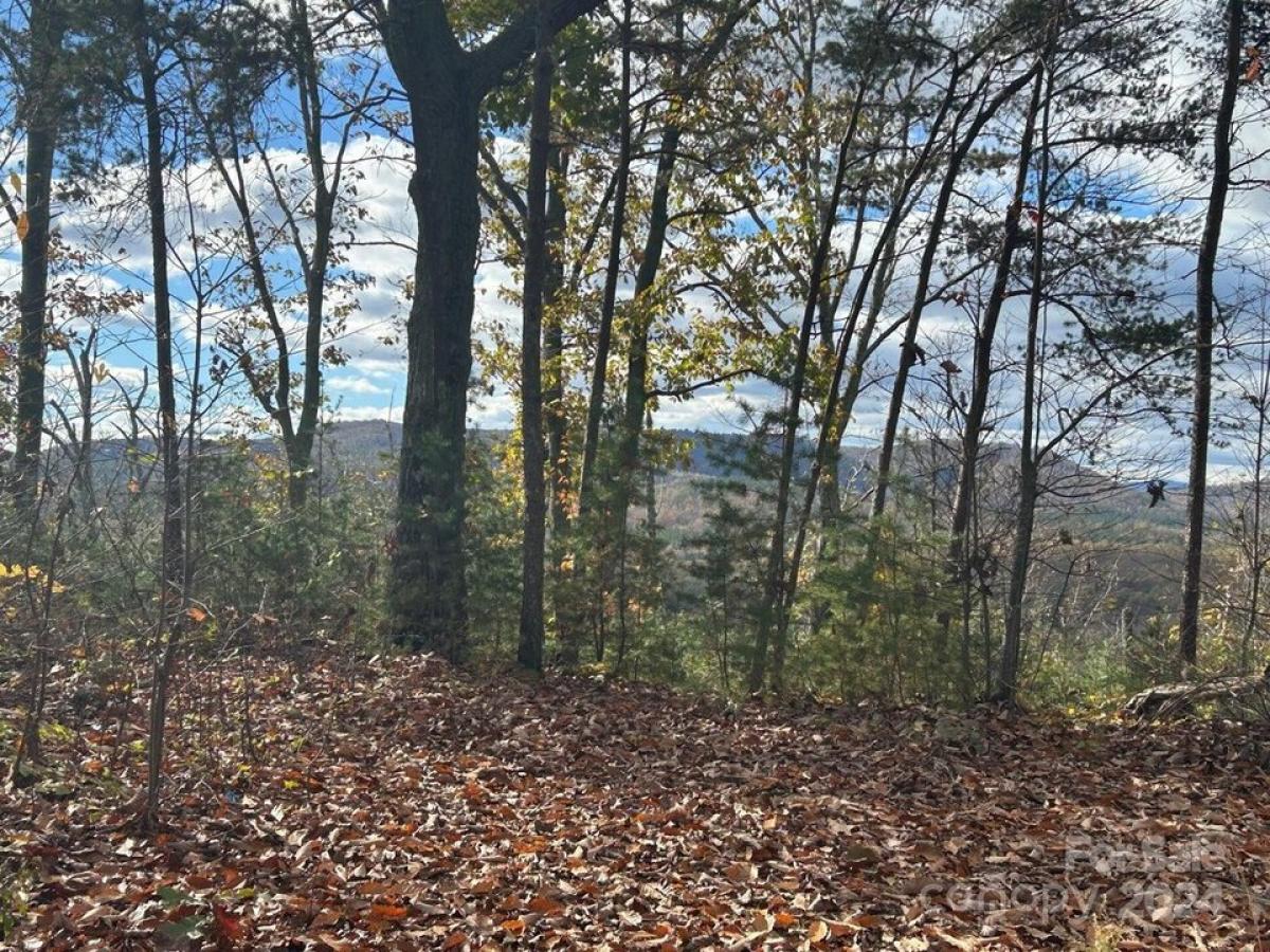 Picture of Residential Land For Sale in Connelly Springs, North Carolina, United States