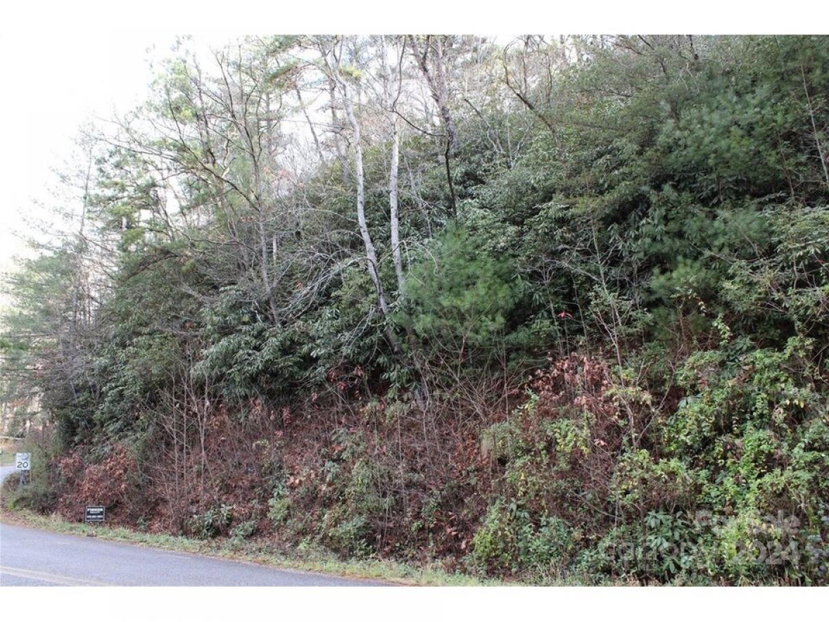 Picture of Residential Land For Sale in Brevard, North Carolina, United States