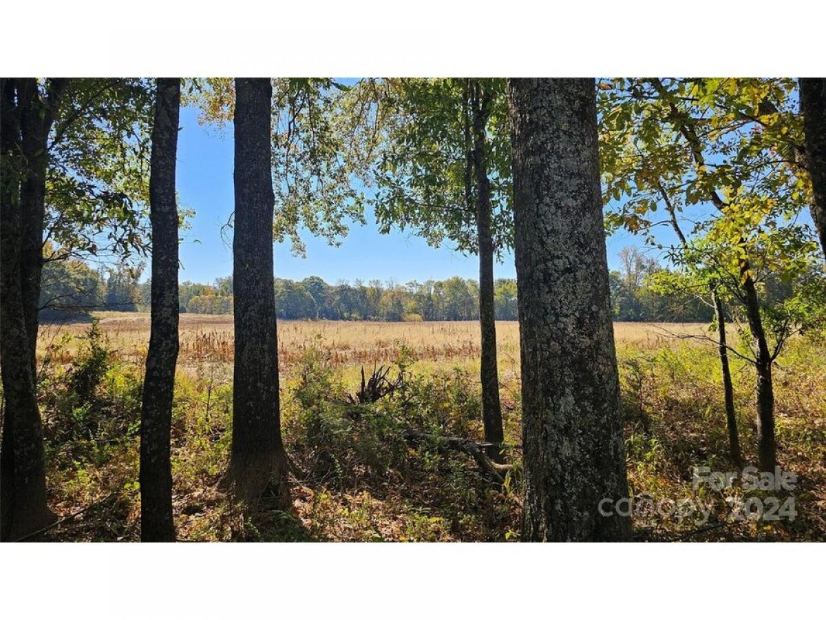 Picture of Residential Land For Sale in Midland, North Carolina, United States